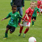 06.jpg