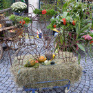 Erntedankmarkt Bludenz 2015