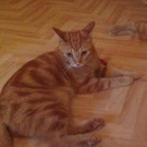 Micky