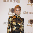 DAB0415-20100930.jpg