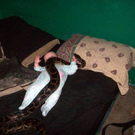 parenting-fails-22.jpg