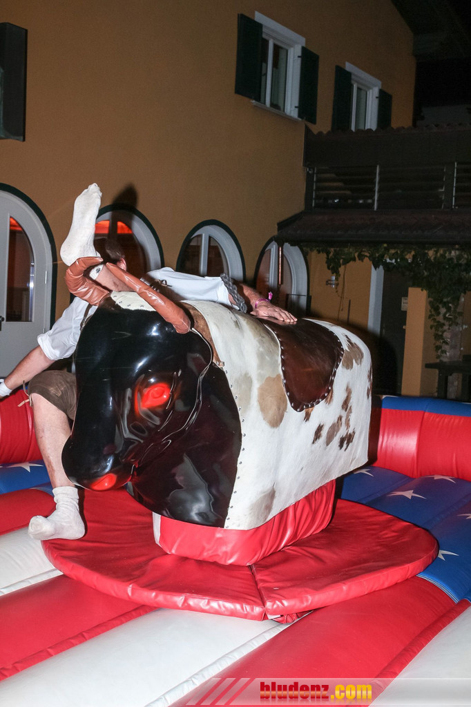 14118475.jpg