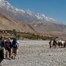 mavia_Himalaya_Mustang_0550.jpg