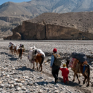 mavia_Himalaya_Mustang_0553.jpg