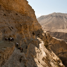mavia_Himalaya_Mustang_0691.jpg