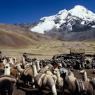 mavia_Peru_95.jpg