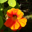 B__chele Michelle 3.JPG