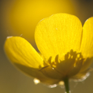 Kaiblinger Matthias 1.JPG