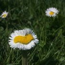 M__ller Wilfried 3.JPG