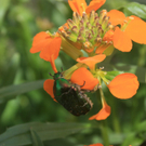 M__ller Wilfried 4.JPG