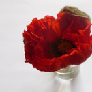 Stadelmann Sabine 3.JPG