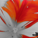 Steger Michaela 1.JPG