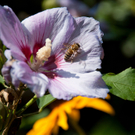 Viertmann Christopher.JPG