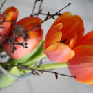 aon_912470652_2 1.JPG