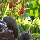 B__chele Michelle 2.JPG