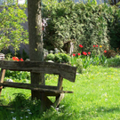 B__chele Michelle 4.JPG