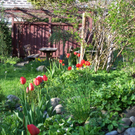 B__chele Michelle 5.JPG