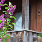 B__chele Michelle 6.JPG