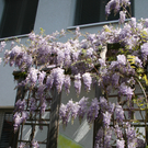 Gussger Christian 1.JPG