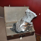 p52709-Foto-2.jpg