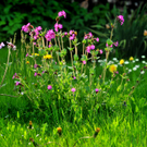 Kresser Gerhard 1.JPG