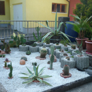 Moosmann Stefanie.JPG