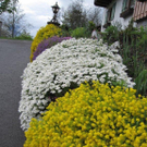 Oberer Waltraud 1.JPG