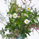 Scheffknecht Karin 1.JPG