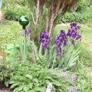 Scheffknecht Karin 2.JPG