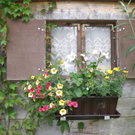 Summer Christine 2.JPG