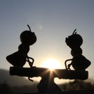 Vaschauer Andreas 1.JPG