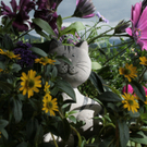 Zimmermann Thomas 2.JPG