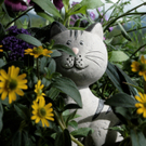 Zimmermann Thomas 3.JPG