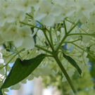 G__chter Nadine 2.JPG