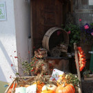 thumb_IMG_9068_1024.jpg