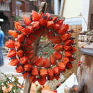 thumb_IMG_9103_1024.jpg