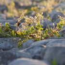 Kaiblinger Matthias 1.JPG