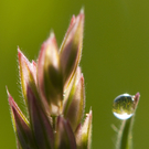 Kaiblinger Matthias 2.JPG