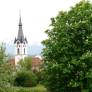 Loacker Hermann 1.JPG