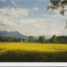 Loacker Hermann 4.JPG