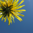 Oberer Herbert 1.JPG