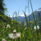 Oberer Herbert 2.JPG