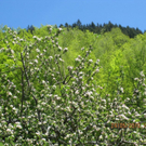 Oberer Waltraud 2.JPG