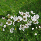 Oberer Waltraud 3.JPG