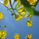 Oberer Waltraud 4.JPG