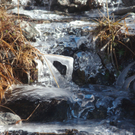 Peter Alexander 1.JPG