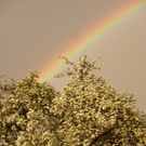 Peter Alexander 3.JPG