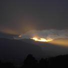 Schuster Bianca 1.JPG