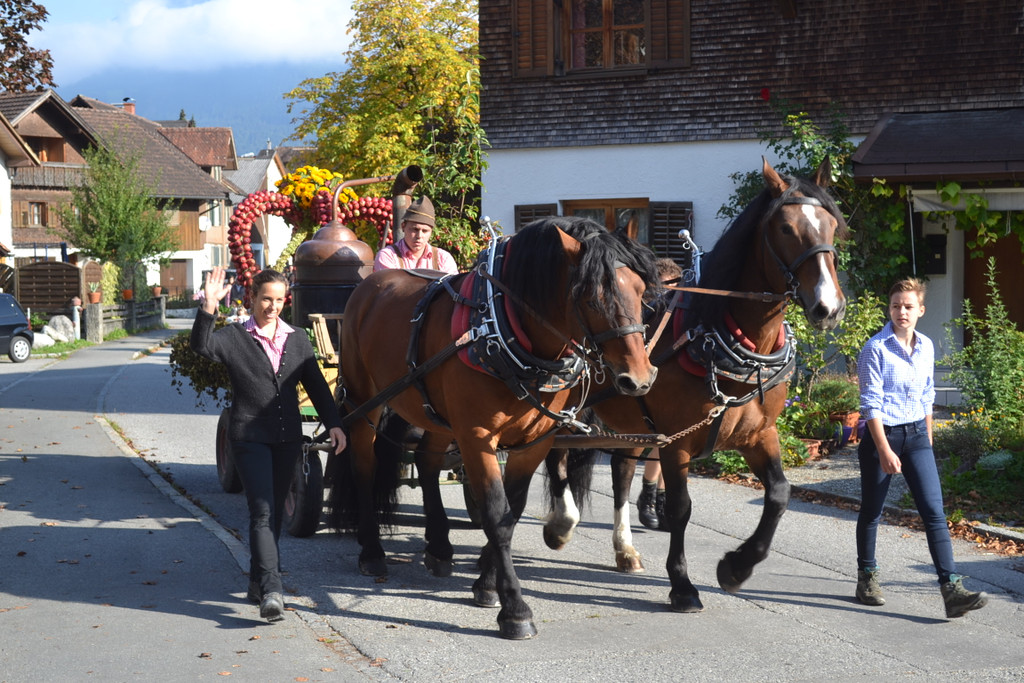 DSC_0884.JPG