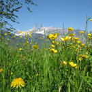 Vallaster Claudia 3.JPG